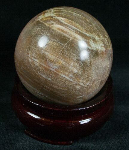 Colorful Petrified Wood Sphere #6798